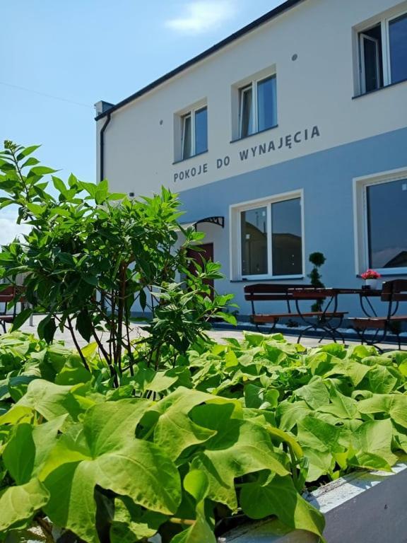 Pod Kogucikiem Aparthotel Krzyzanowice Ngoại thất bức ảnh