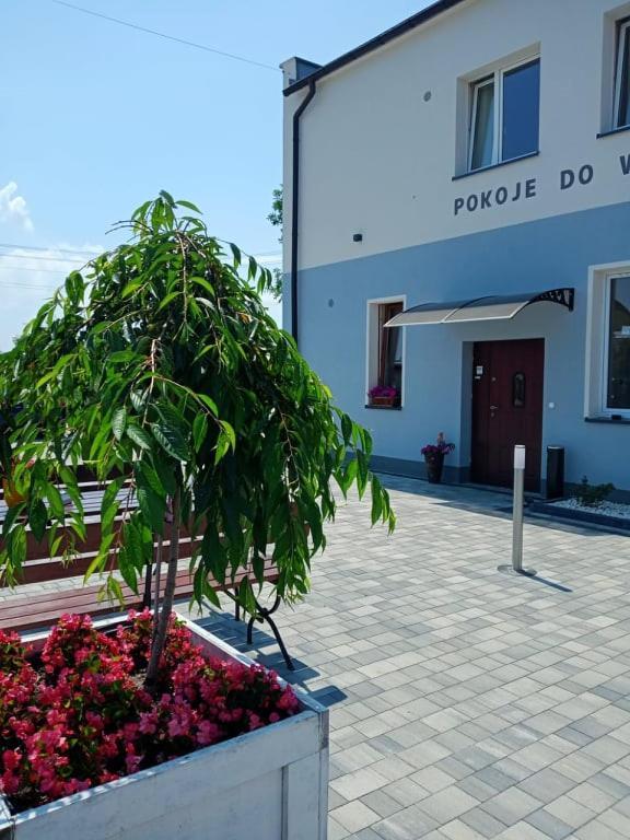 Pod Kogucikiem Aparthotel Krzyzanowice Ngoại thất bức ảnh